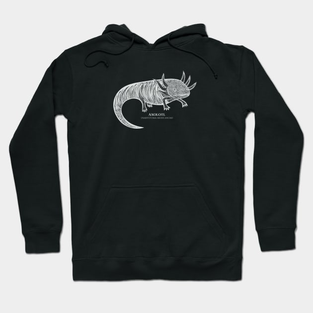 Axolotl with Common and Scientific Names - cool animal design Hoodie by Green Paladin